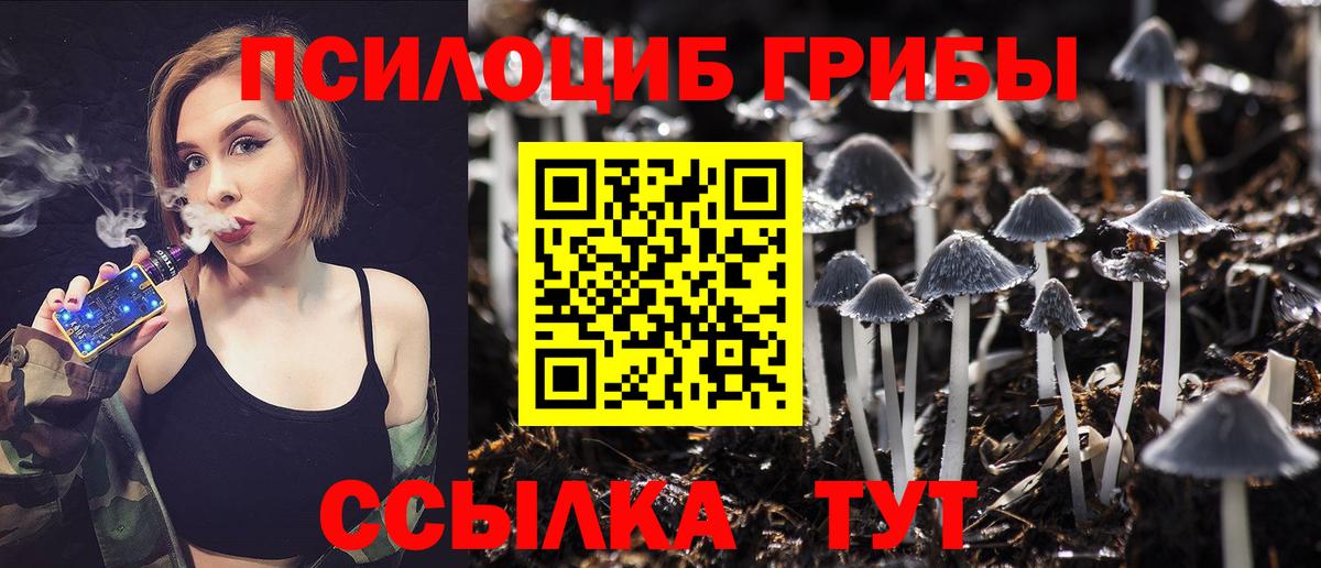 купить наркотик  Галлюциногенные грибы GOLDEN TEACHER  Камень-на-Оби  Вход с VPN  Галлюциногенные грибы Psilocybe 